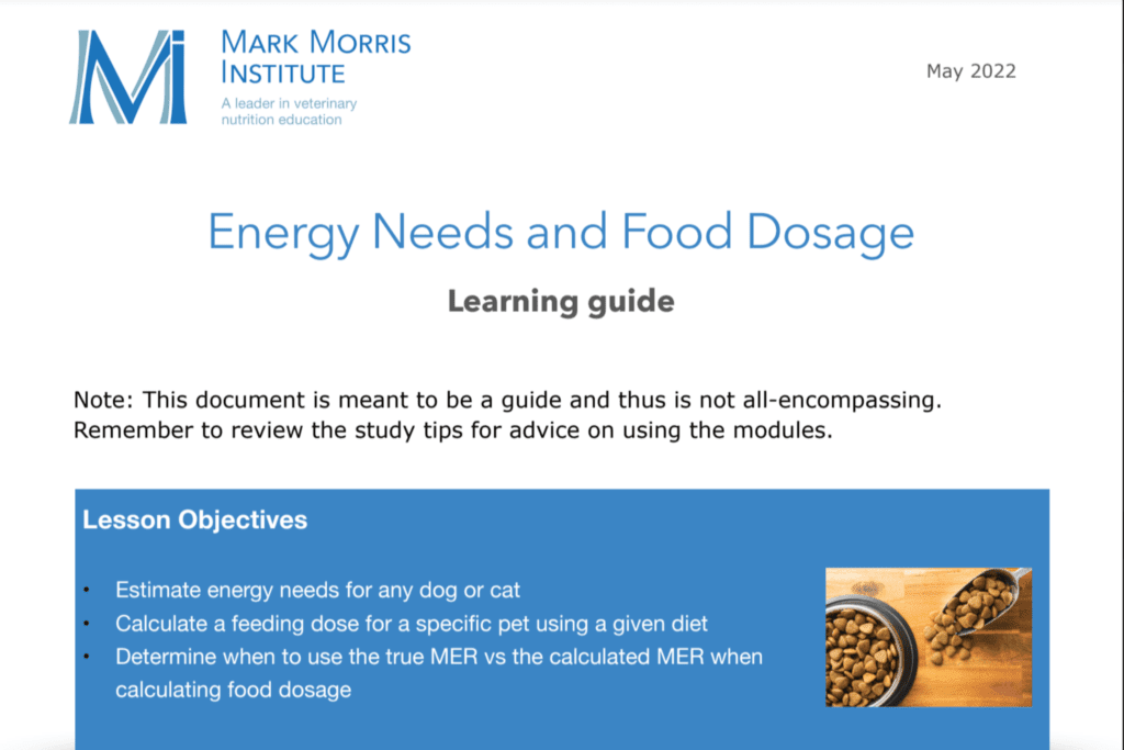 The cover page for the energy needs and food dosage project pdf